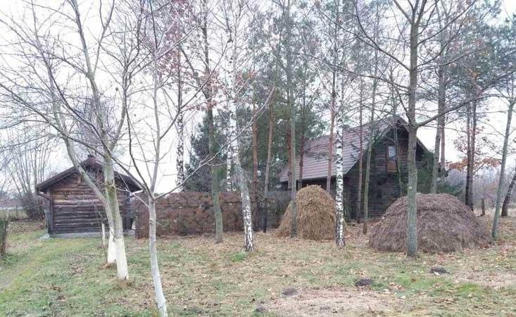 Баня на дровах - найкращий спосіб покращити самопочуття