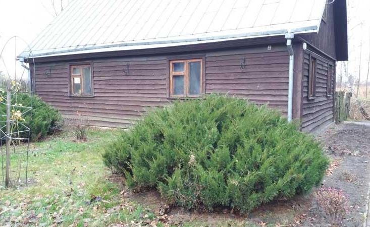 Баня на дровах ― джерело сили та місце справжнього відпочинку